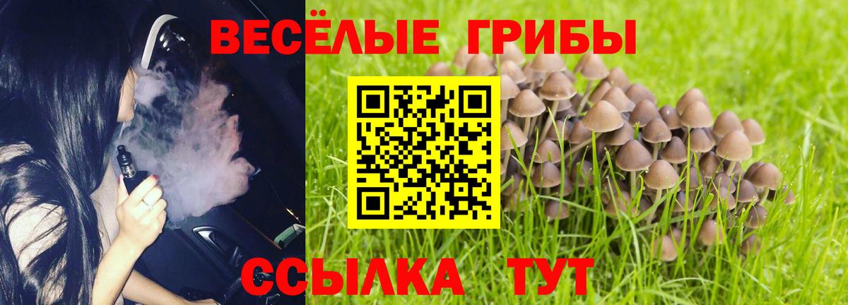 Галлюциногенные грибы Psilocybe  Псилоцибиновые грибы Magic Shrooms  Вход с VPN  Сарапул 