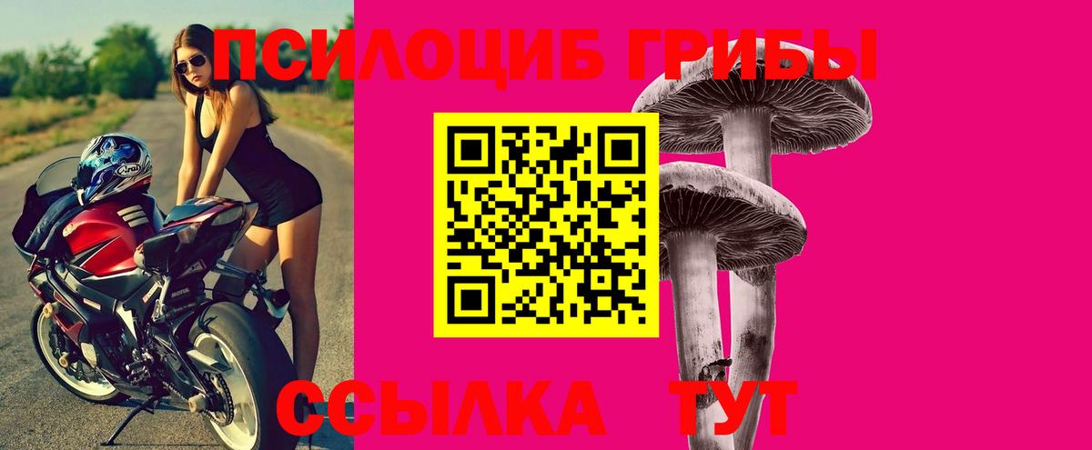 Галлюциногенные грибы Psilocybe Сарапул