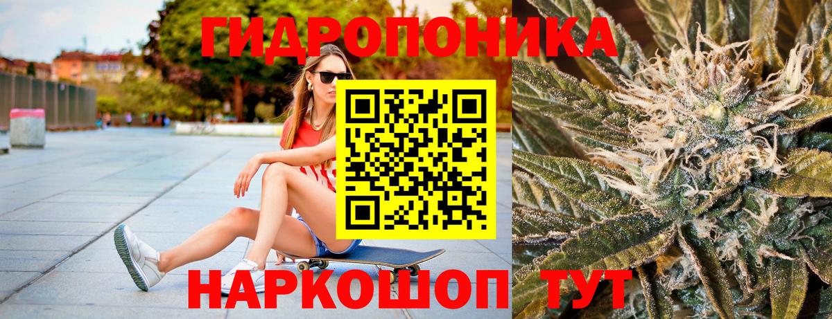 Бошки марихуана индика  Вход с VPN  Сарапул  Конопля LSD WEED  Канабис план  МАРИХУАНА Bruce Banner 